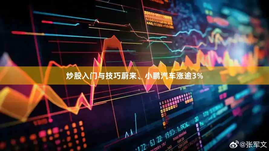 炒股入门与技巧蔚来、小鹏汽车涨逾3%