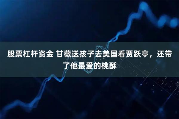 股票杠杆资金 甘薇送孩子去美国看贾跃亭，还带了他最爱的桃酥