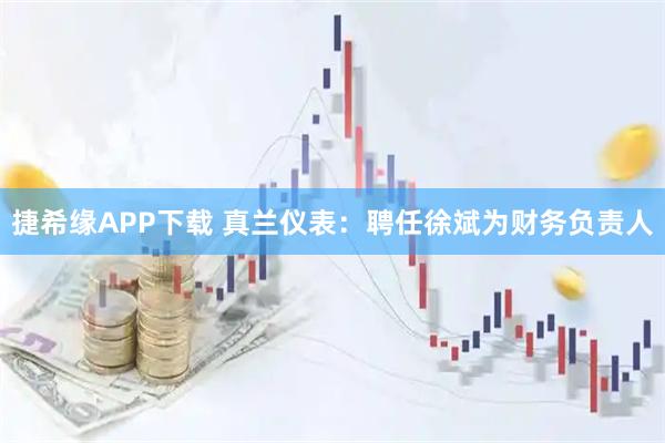 捷希缘APP下载 真兰仪表：聘任徐斌为财务负责人