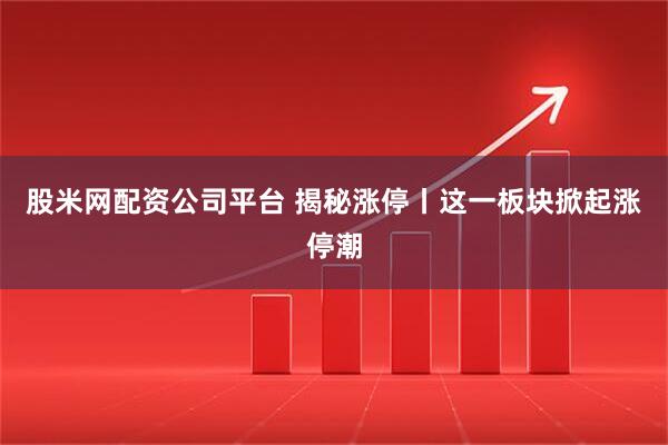 股米网配资公司平台 揭秘涨停丨这一板块掀起涨停潮