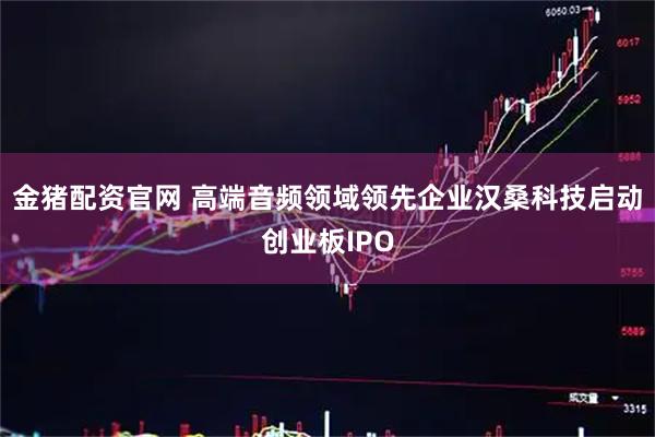 金猪配资官网 高端音频领域领先企业汉桑科技启动创业板IPO