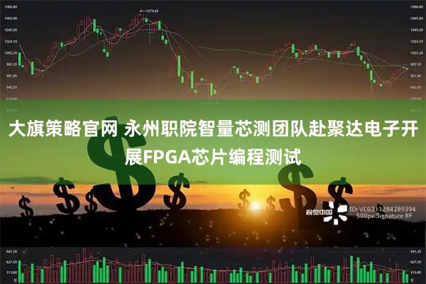 大旗策略官网 永州职院智量芯测团队赴聚达电子开展FPGA芯片编程测试